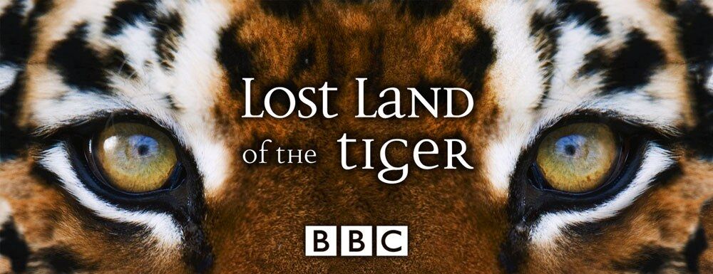 Lost Land of the Tiger transmission card