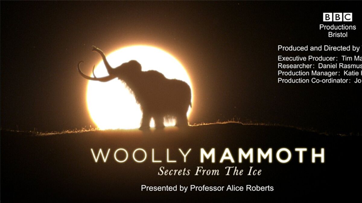 Woolly mammoth silhouetted against the sun